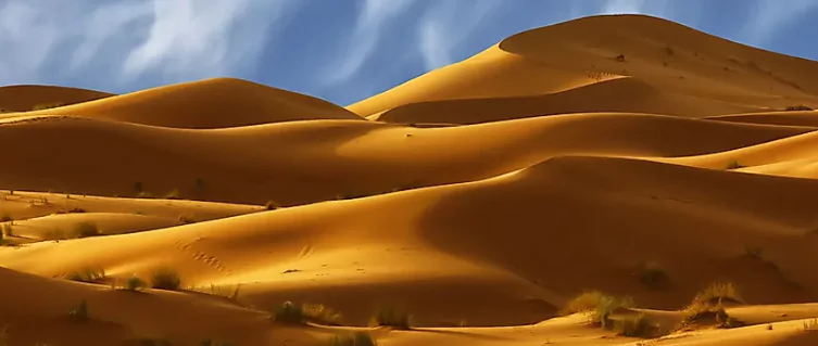 sahara desert